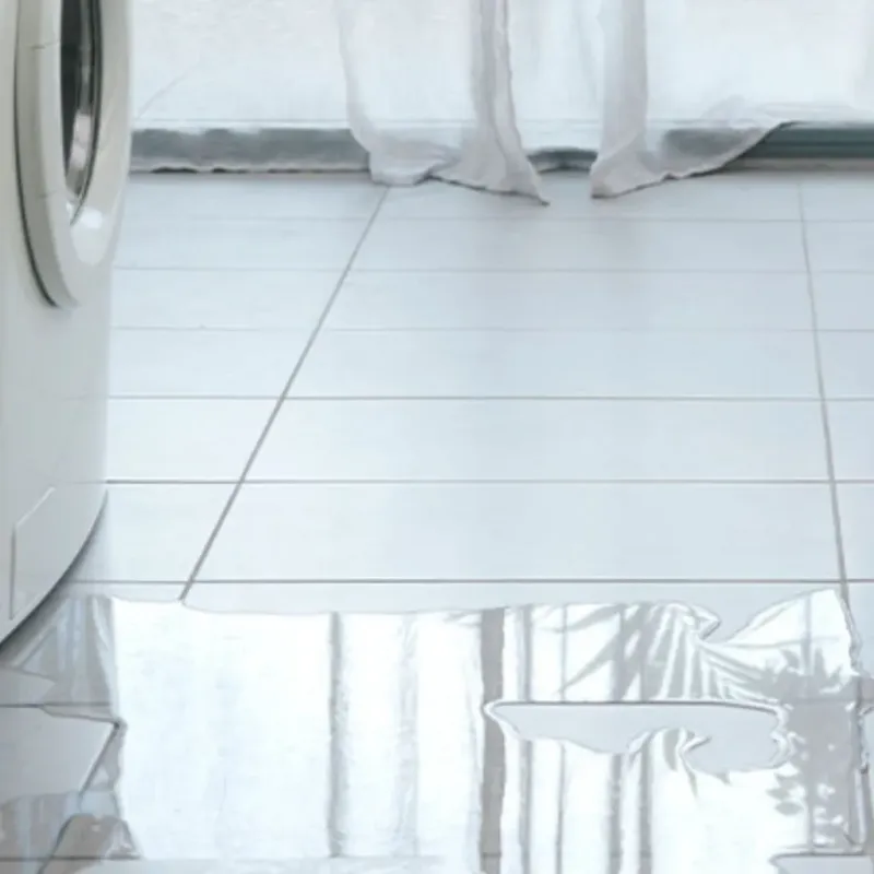 Appliance Leak Cleanup in Apopka, FL